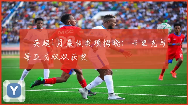 ​英超1月最佳奖项揭晓：卡里克与蒂亚戈双双获奖