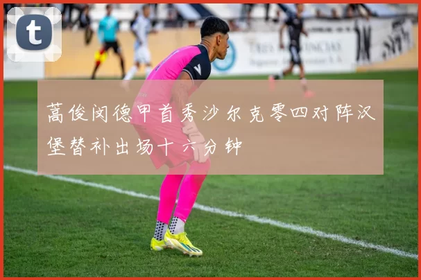 蒿俊闵德甲首秀沙尔克零四对阵汉堡替补出场十六分钟