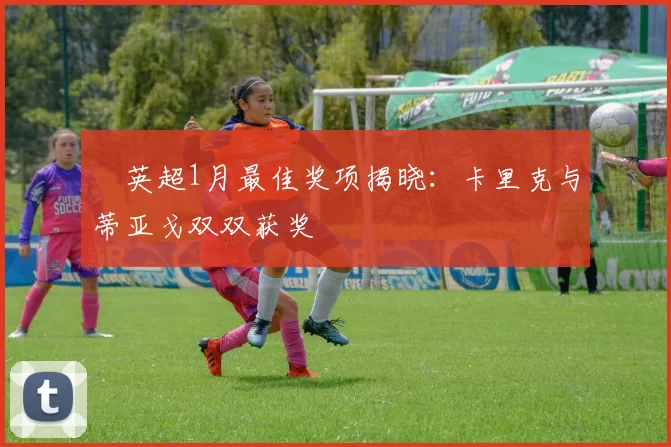 ​英超1月最佳奖项揭晓：卡里克与蒂亚戈双双获奖